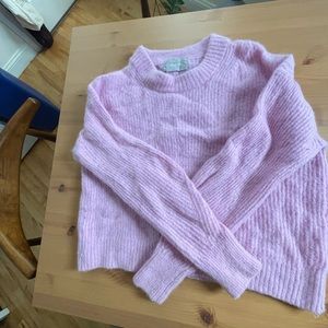 Everlane alpaca crew neck sweater